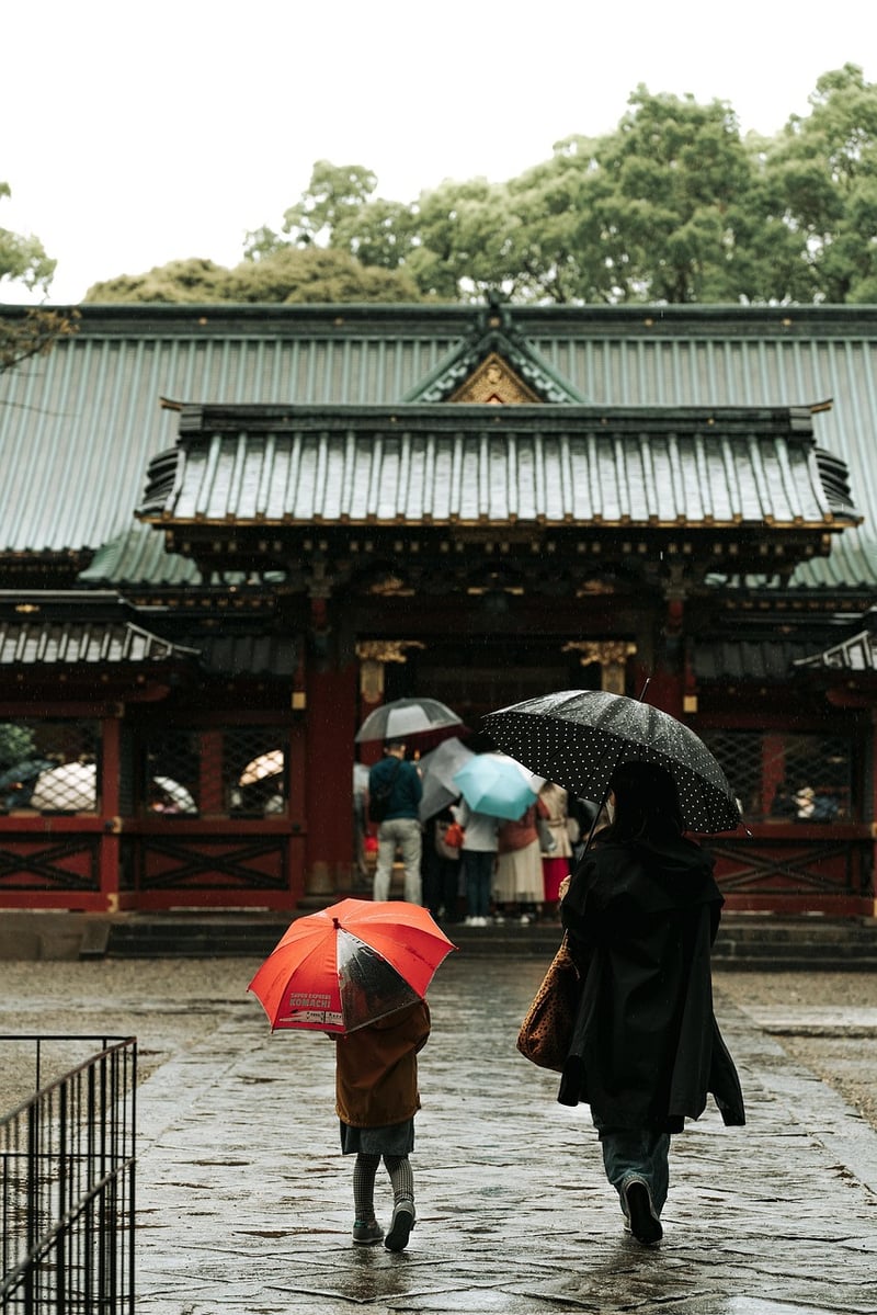 Travelers sharing experiences